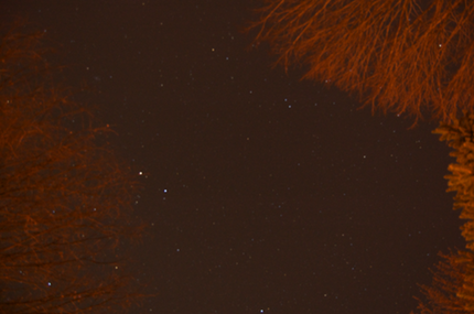 D40 Night Shot